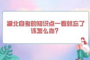 湖北自考的知識點一看就忘了該怎么辦？