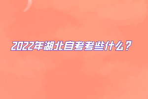 2022年湖北自考考些什么？