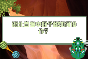 湖北自考申報(bào)個(gè)稅如何操作？