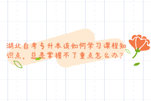 湖北自考專升本該如何學(xué)習(xí)課程知識點(diǎn)，總是掌握不了重點(diǎn)怎么辦？