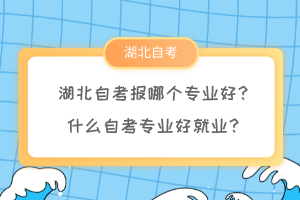 湖北自考報(bào)哪個(gè)專業(yè)好？什么自考專業(yè)好就業(yè)？