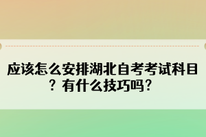 應該怎么安排湖北自考考試科目？有什么技巧嗎？