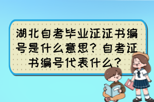 湖北自考畢業(yè)證證書編號是什么意思？自考證書編號代表什么？
