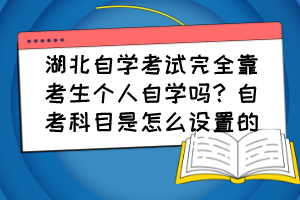 湖北自學考試完全靠考生個人自學嗎？自考科目是怎么設置的？