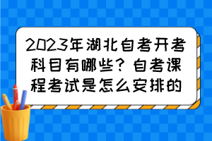 2023年湖北自考開考科目有哪些？自考課程考試是怎么安排的？