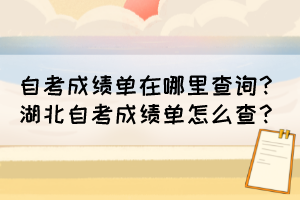 自考成績單在哪里查詢？湖北自考成績單怎么查？