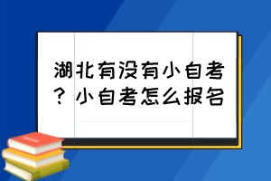 湖北有沒有小自考？小自考怎么報名？