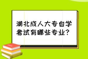 湖北成人大專自學(xué)考試有哪些專業(yè)？
