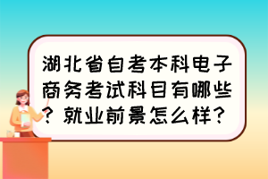 湖北省自考本科電子商務考試科目有哪些？就業(yè)前景怎么樣？