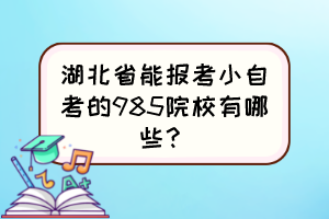 湖北省能報考小自考的985院校有哪些？