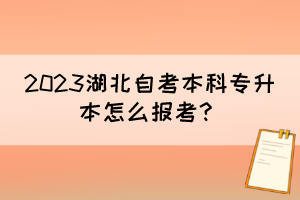 2023湖北自考本科專升本怎么報(bào)考？