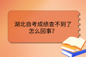 湖北自考成績查不到了怎么回事？