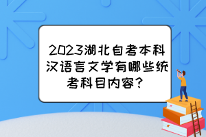 2023湖北自考本科漢語言文學有哪些統(tǒng)考科目內容？