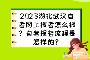 2023湖北武漢自考網(wǎng)上報考怎么報？自考報名流程是怎樣的？