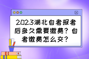 2023湖北自考報考后多久需要繳費？自考繳費怎么交？