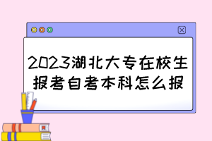 2023湖北大專在校生報(bào)考自考本科怎么報(bào)？