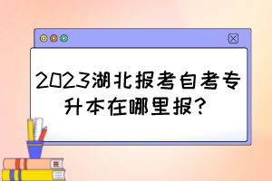 2023湖北報(bào)考自考專升本在哪里報(bào)？