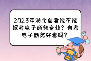 2023年湖北自考能不能報考電子商務專業(yè)？自考電子商務好考嗎？