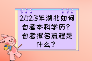2023年湖北如何自考本科學(xué)歷？自考報(bào)名流程是什么？