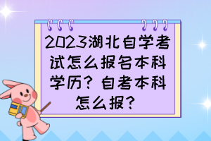 2023湖北自學考試怎么報名本科學歷？自考本科怎么報？