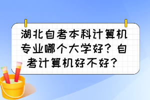 湖北自考本科計(jì)算機(jī)專業(yè)哪個(gè)大學(xué)好？自考計(jì)算機(jī)好不好？