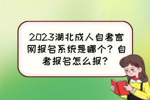 2023湖北成人自考官網報名系統是哪個？自考報名怎么報？