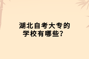 湖北自考大專(zhuān)的學(xué)校有哪些？