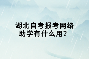 湖北自考報(bào)考網(wǎng)絡(luò)助學(xué)有什么用？