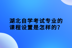 湖北自學(xué)考試專業(yè)的課程設(shè)置是怎樣的？