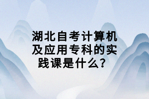 湖北自考計(jì)算機(jī)及應(yīng)用?？频膶?shí)踐課是什么？
