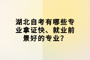 湖北自考有哪些專業(yè)拿證快、就業(yè)前景好的專業(yè)？