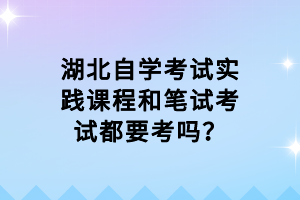 湖北自學考試實踐課程和筆試考試都要考嗎？