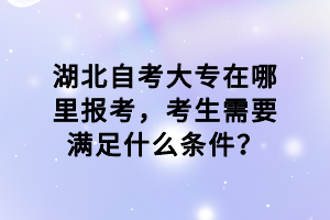湖北自考大專在哪里報(bào)考，考生需要滿足什么條件？