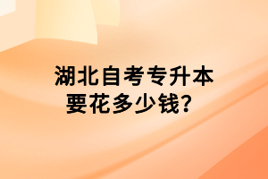 湖北自考專升本要花多少錢？