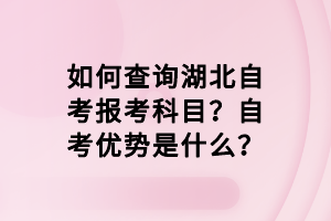 如何查詢湖北自考報(bào)考科目？自考優(yōu)勢(shì)是什么？