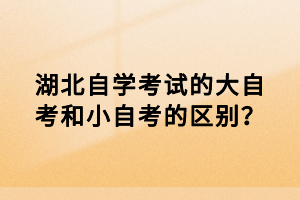 湖北自學(xué)考試的大自考和小自考的區(qū)別？
