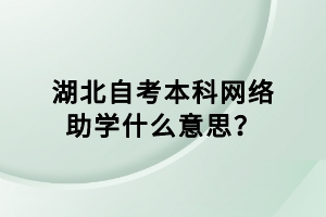 湖北自考本科網(wǎng)絡(luò)助學(xué)什么意思？