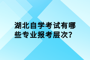 湖北自學考試有哪些專業(yè)報考層次？