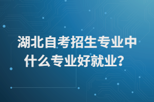 湖北自考招生專業(yè)中什么專業(yè)好就業(yè)？