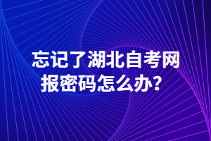 忘記了湖北自考網(wǎng)報(bào)密碼怎么辦？