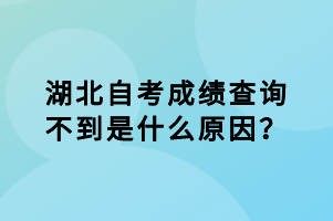 湖北自考成績查詢不到是什么原因？