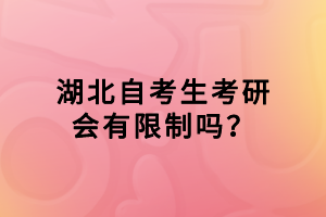 湖北自考生考研會有限制嗎？
