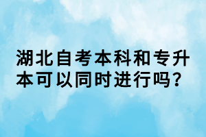 湖北自考本科和專升本可以同時進(jìn)行嗎？