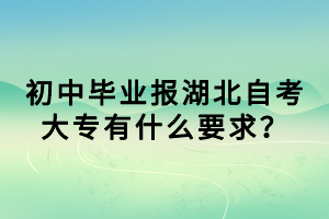 初中畢業(yè)報(bào)湖北自考大專有什么要求？