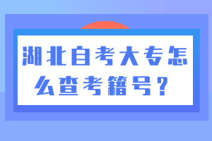 湖北自考大專怎么查考籍號(hào)？
