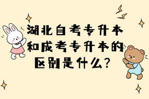 湖北自考專升本和成考專升本的區(qū)別是什么？