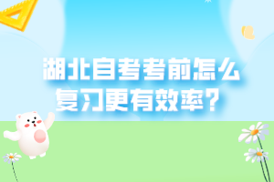 湖北自考考前怎么復(fù)習(xí)更有效率？