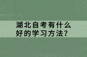 湖北自考有什么好的學習方法？