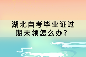 湖北自考畢業(yè)證過期未領(lǐng)怎么辦？