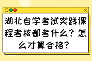 湖北自學(xué)考試實(shí)踐課程考核都考什么？怎么才算合格？